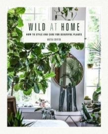 Wild at Home: How to style and care for beautiful plants