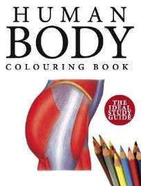 Human Body Colouring Book