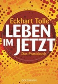 Leben im Jetzt - Das Praxisbuch