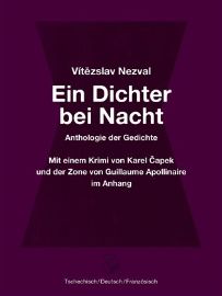 Ein Dichter bei Nacht