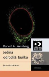 Jediná odrodilá buňka - Jak vzniká rakovina
