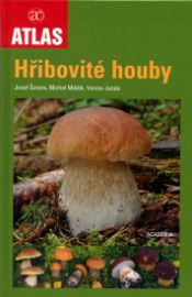 Hřibovité houby 