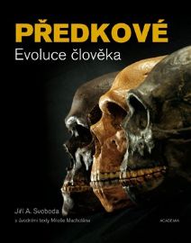 Předkové - Evoluce člověka