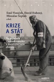 Krize a stát