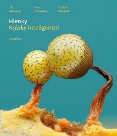 Hlenky