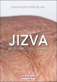 Jizva nejen v popáleninové medicíně