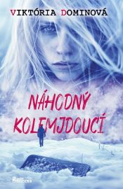 Náhodný okolojdoucí
