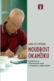 Moudrost okamžiku - Buddhismus Diamantové cesty v otázkách a odpovědích 