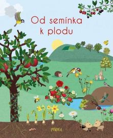 Od semínka k plodu - Nicole Colas des Francs - Dětské knihy o přírodě Od semínka k plodu