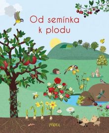 Od semínka k plodu - Nicole Colas des Francs - Dětské knihy o přírodě Od semínka k plodu