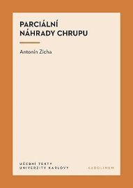 Parciální náhrady chrupu
