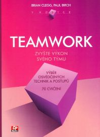 Teamwork v kostce