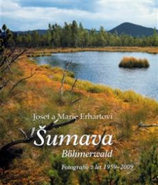 Šumava