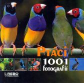 Ptáci - 1001 fotografií 