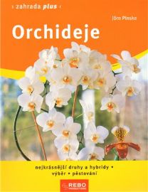 Orchideje