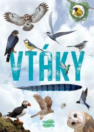 Vtáky