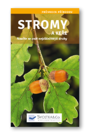 Stromy a keře - Naučte se znát nejdůležitější druhy