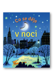 Co se děje v noci