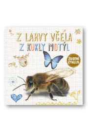 Z larvy včela, z housenky motýl - Životní cyklus