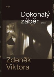 Dokonalý záběr