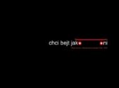Chci bejt jako oni