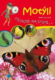 Motýli
