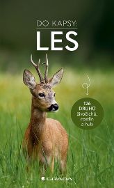 Les – do kapsy