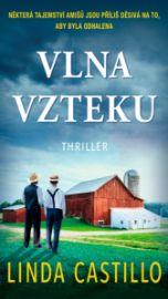 Vlna vzteku