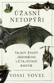 Úžasní netopýři