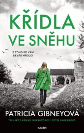 Křídla ve sněhu - Patricia Gibney - Thrillery Křídla ve sněhu