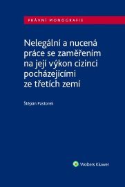 Nelegální a nucená práce se zaměřením na její výkon/cizinci pocházejícími ze třetích zemí