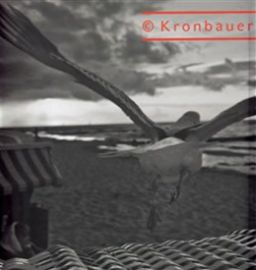 Viktor Kronbauer - Divadelní fotografie / Theatre Photography