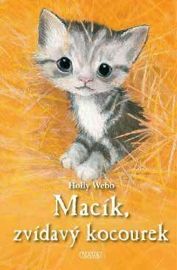 Macík, zvídavý kocourek