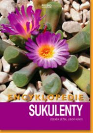 Sukulenty - Encyklopedie