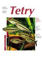 Tetry - Jak na to