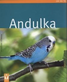 Andulka - Jak na to