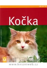 Kočka - Jak na to