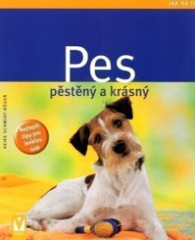 Pes pěstěný a krásný - Jak na to