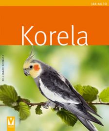 Korela - Jak na to