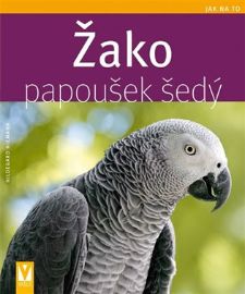 Žako papoušek šedý - Jak na to