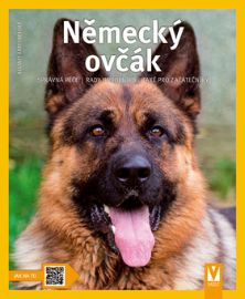 Německý ovčák - Jak na to