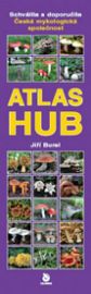 Atlas hub