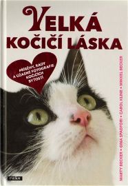 Velká kočičí láska