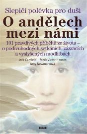 Slepičí polévka pro duši - O andělech mezi námi 