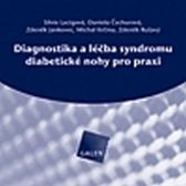 Diagnostika a léčba syndromu diabetické nohy pro praxi (CD-ROM)