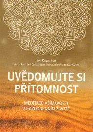 Uvědomujte si přítomnost - Meditace všímavosti v každodenním životě