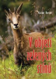 V objetí zelených stínů
