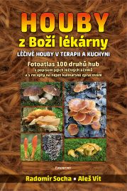 Houby z Boží lékárny - Léčivé houby v terapii a kuchyni - Radomír Socha,Aleš Vít - Houby Houby z Boží lékárny