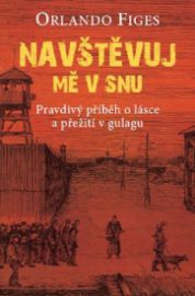 Navštěvuj mě ve snu