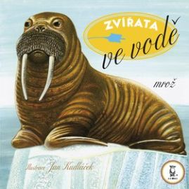Zvířata - Ve vodě